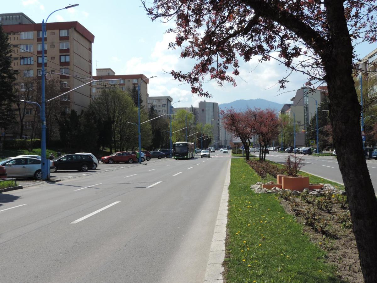 Victoriei Boulevard Private Apartment براشوف المظهر الخارجي الصورة