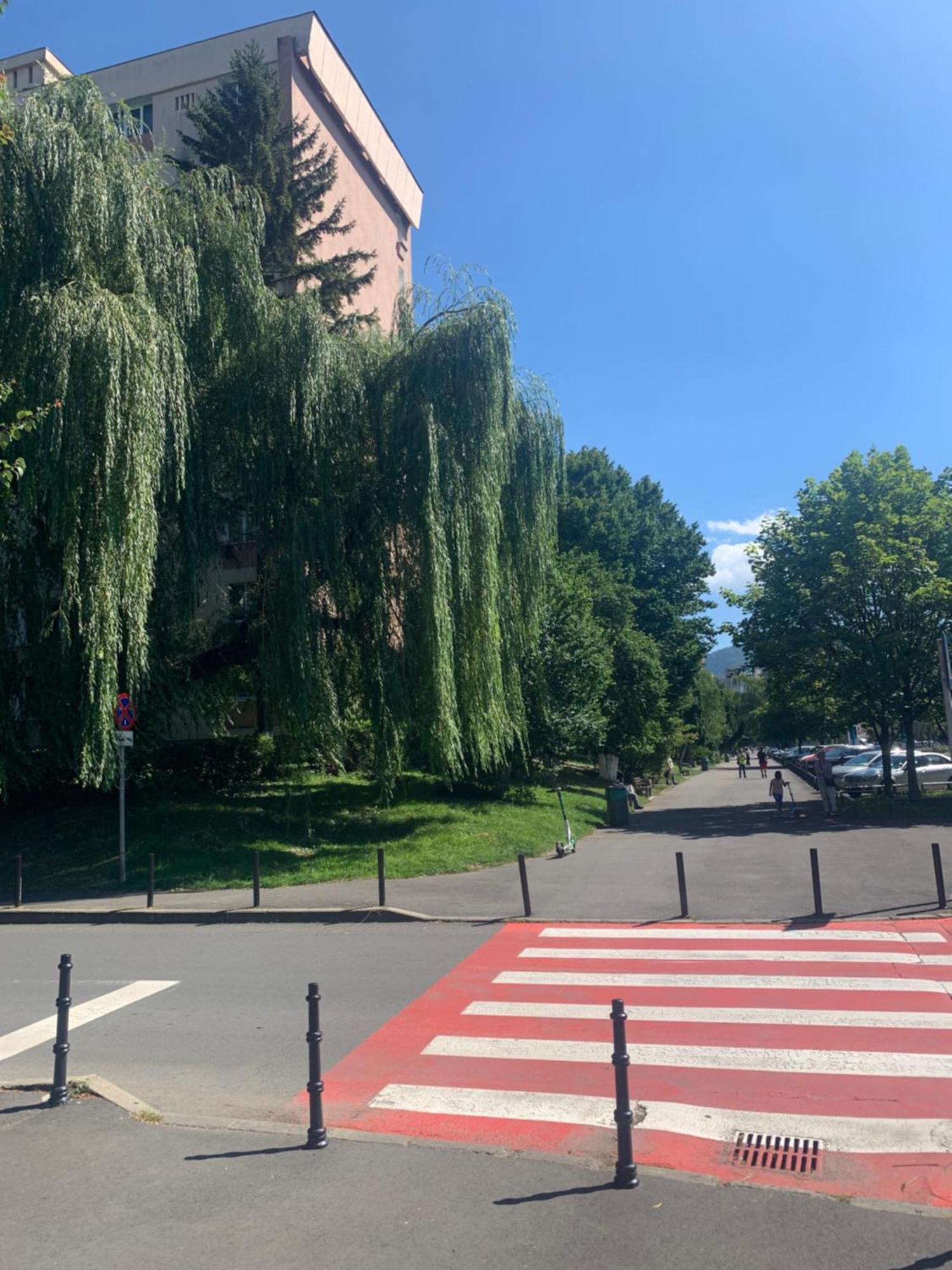 Victoriei Boulevard Private Apartment براشوف المظهر الخارجي الصورة