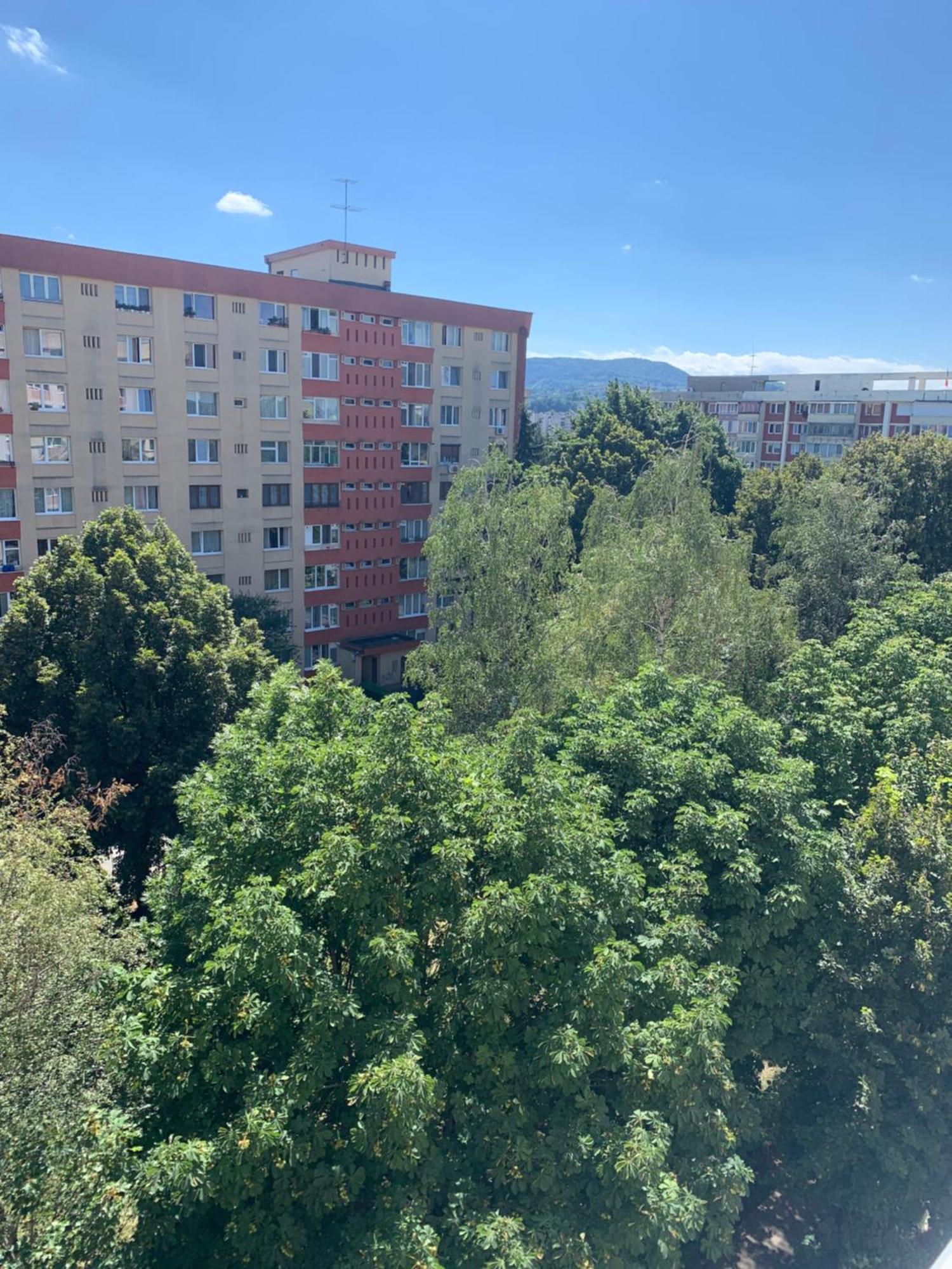 Victoriei Boulevard Private Apartment براشوف المظهر الخارجي الصورة